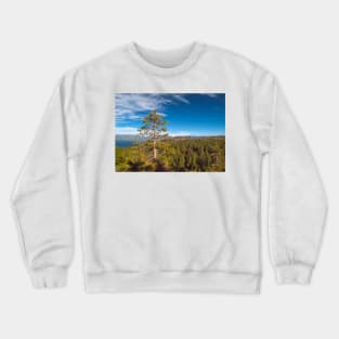 Lonely Pine Tree Crewneck Sweatshirt